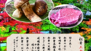 いよいよ最終間近　和歌山松茸　込み込み　351㌘ いよいよ最終間近 和歌山松茸 込み込み 351㌘ いよいよ最終間近 和歌山